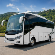 Medium Bus Pariwisata